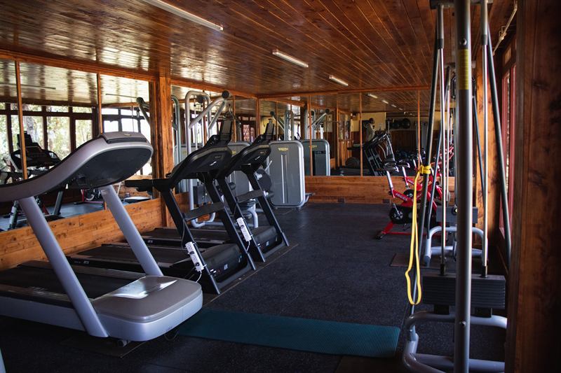 The gym at Kerio View, treadmills along the window