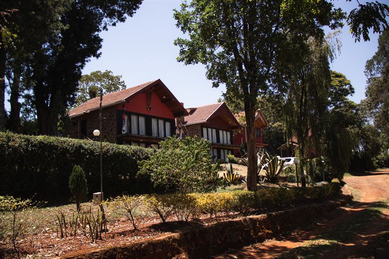 The lodge seen through the trees from the garden path