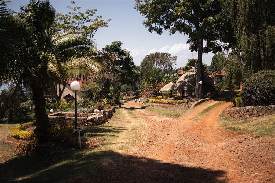 The paths and gardens at Kerio View Lodge